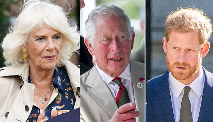 Queen Camilla becoming a wall between Prince Harry and King Charles