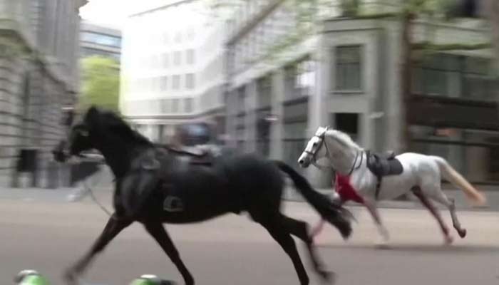 British military horses run on streets of London. — Reuters/File