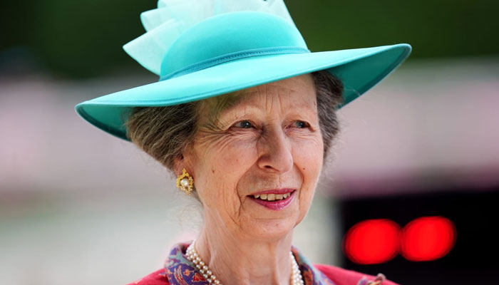 Princess Anne in deep regret after horse incident, releases statement