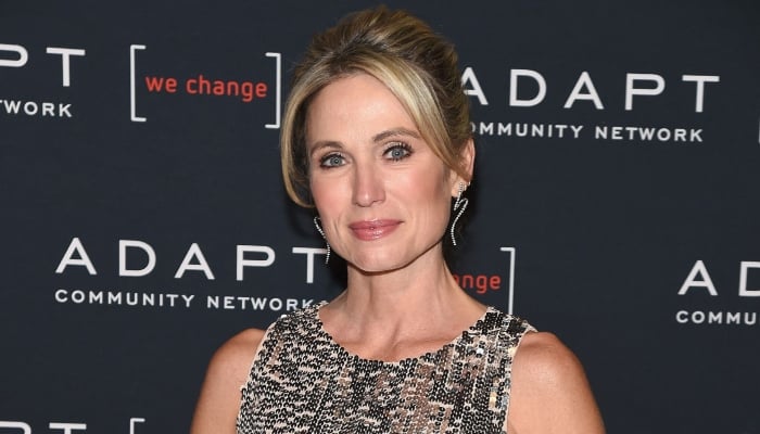 Photo:Amy Robach recalls traumatic 4th July accident: Really serious