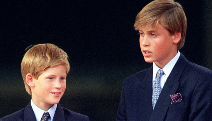 Prince William admitted sleeping with Prince Harry is nightmare