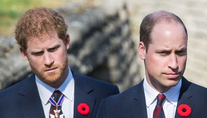 Prince Harry picked up phone to call THIS person after Prince William punch