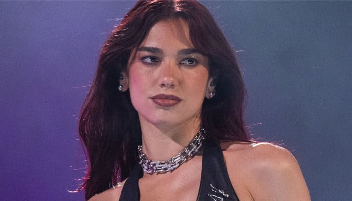 Dua Lipa makes major headway on London homes mega basement after legal battle