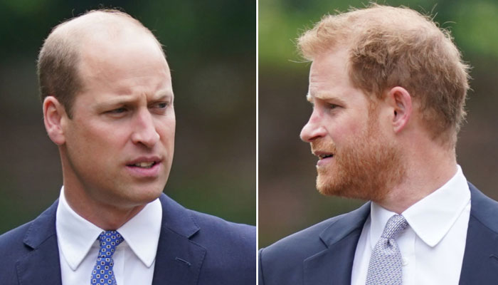 Prince Harry knows Prince William would never forgive for THIS action