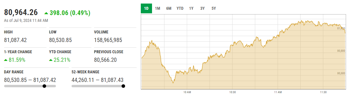 The picture shows KSE-100 graph. — PSX website