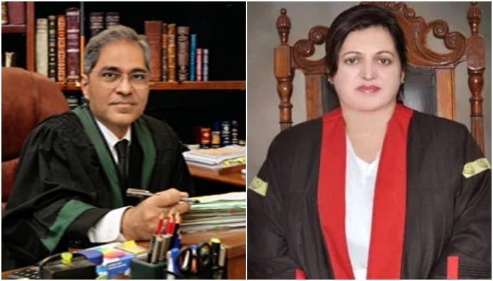 Justice Muhammad Shafi Siddiqui (left) and Justice Aalia Neelum. — SHC/LHC websites