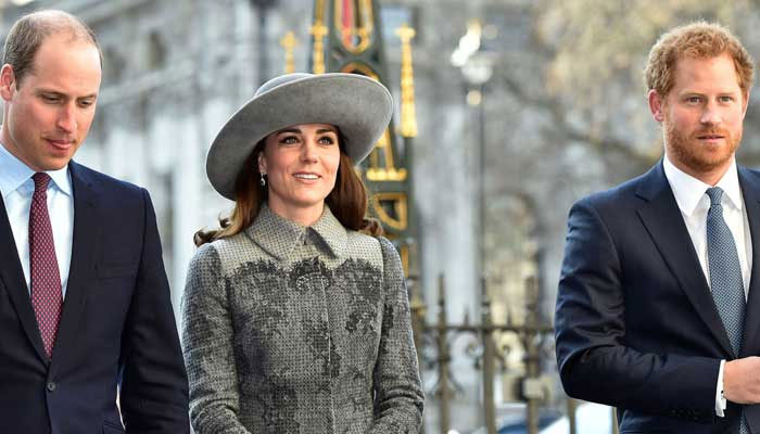 Kate Middleton supports Prince Williams decision on Prince Harry reconciliation