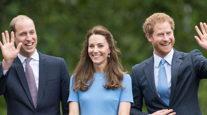 Prince William shutting doors for Harry as Kate Middleton needs ‘protection’