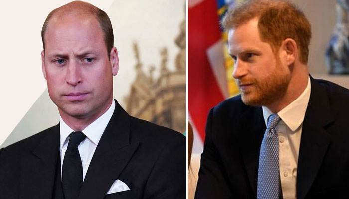 Prince William finally finally reacts against his annoying brother Prince Harry