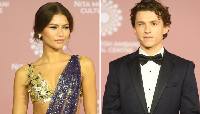 Photo: Zendaya, Tom Holland perfect for each other: Source