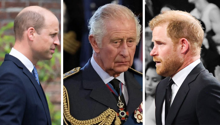 Prince William is making King Charles cancer battle worse with Prince Harry