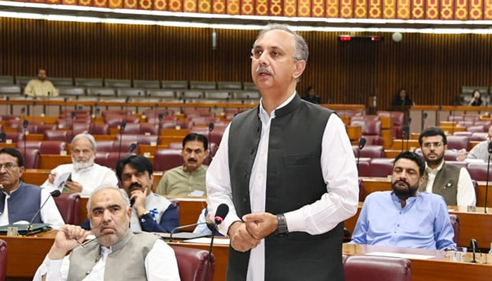 Opposition Leader in the National Assembly Omar Ayub Khan addressing the house on June 22, 2024. — X/@NAofPakistan