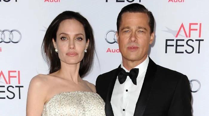 Angelina Jolie, Brad Pitt parted ways over 'different parenting styles'?