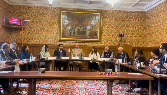 Lord Hannan, Zulfi Bukhari, Naz Shah MP and Meher Bano Qureshi as well other MPs in UK Parliament attend democracy in crisis hearing on Pakistan. — Reporter