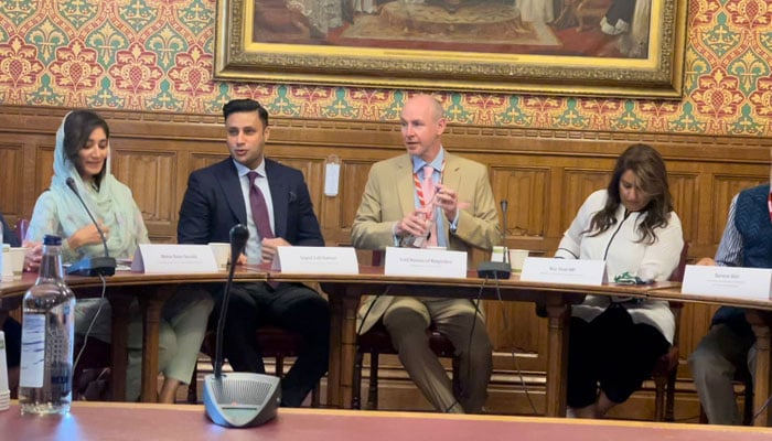 Lord Hannan, Zulfi Bukhari, Naz Shah MP and Meher Bano Qureshi as well other MPs in UK Parliament attend democracy in crisis hearing on Pakistan. — Reporter