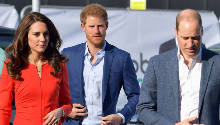 Prince Harry leaves William and Kate seething with new plans