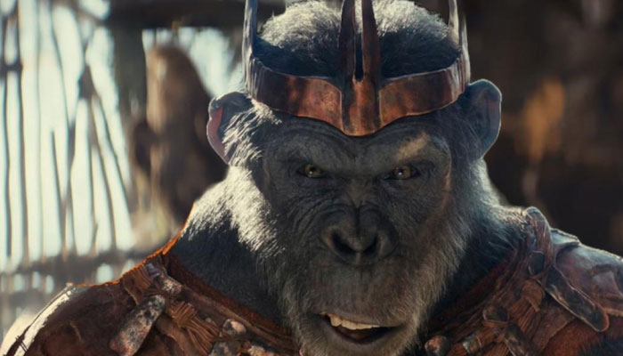 Good news for Kingdom of the Planet of the Apes fans