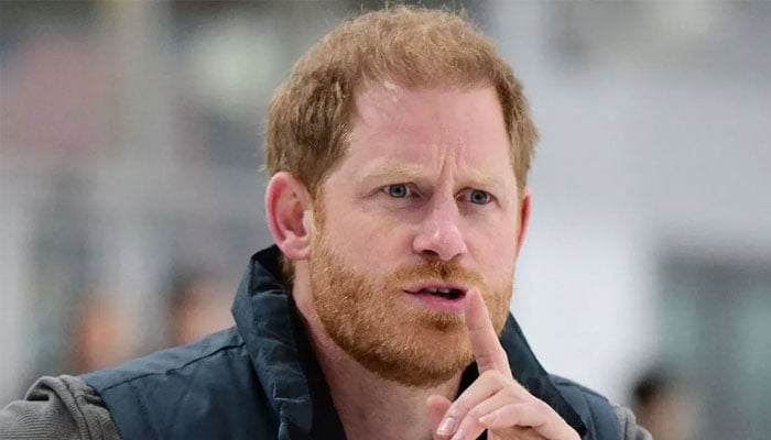 Prince Harry leaving Meghan Markle out of his plans for the future