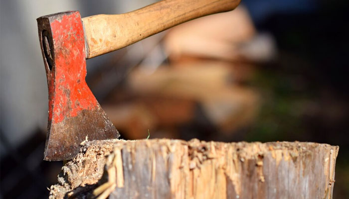 Representational image of a an axe. —Freepik