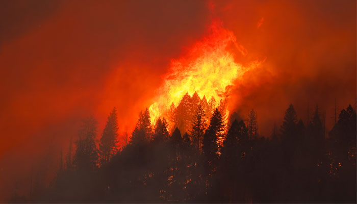 A wildfire is seen along Highway 32 near Butte Meadows, California, US on July 26, 2024. — Reuters