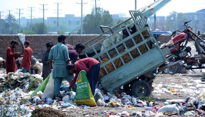 Gypsy youngsters searching and collecting recycle items from a heap of garbage in Faisalabad on March 27, 2024. — APP