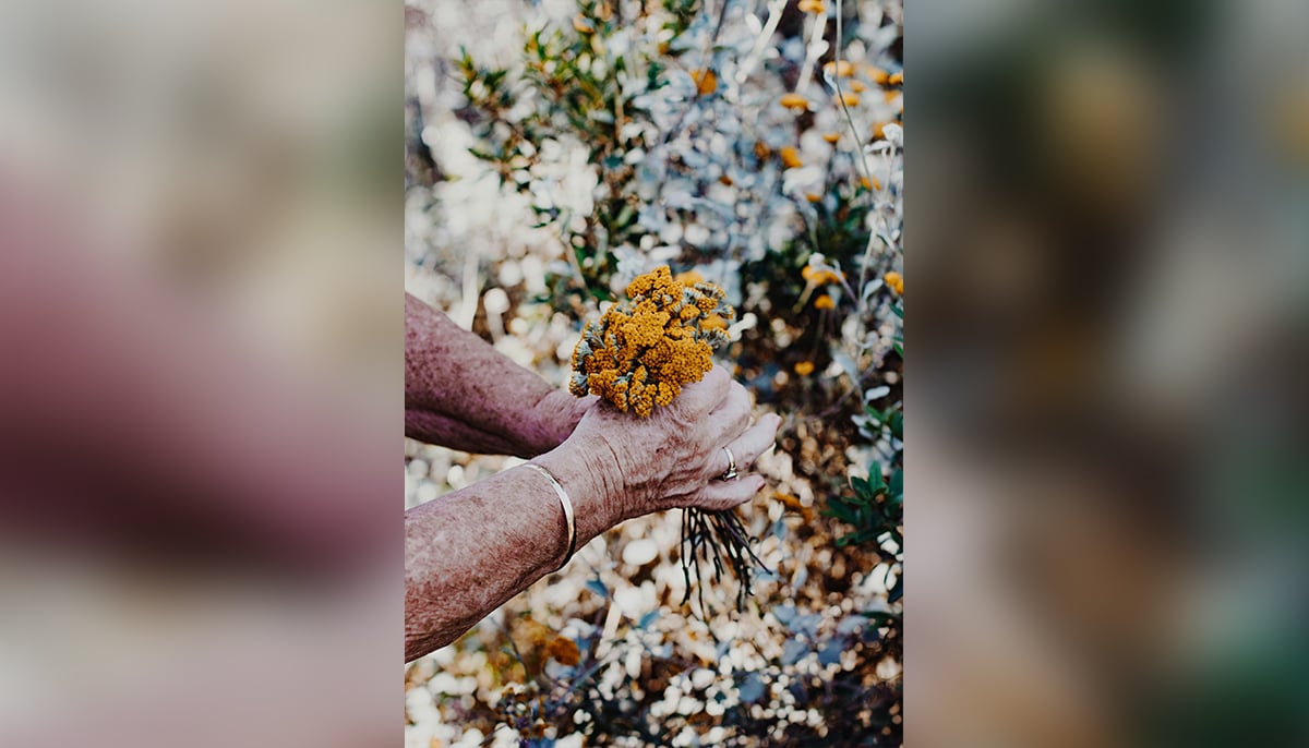 Representational image of an old woman holding flowers. — Unsplash/Sincerely Media