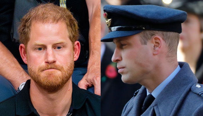 Prince Harry rubbing salt on Prince Williams wounds