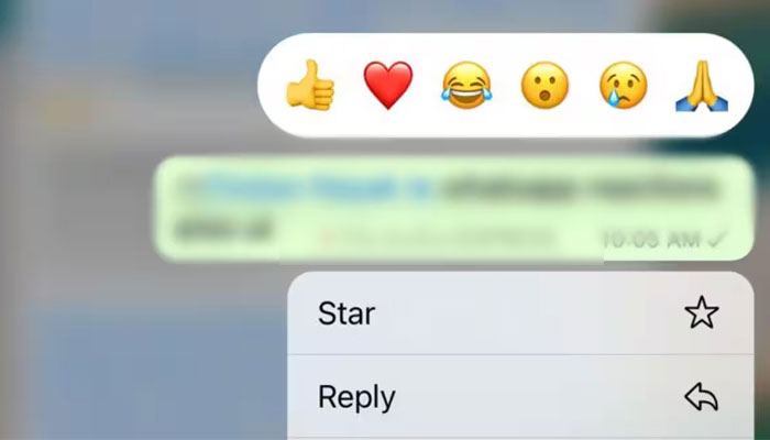 A screengrab of a WhatsApp chat showing message reaction option. — WABetaInfo/file