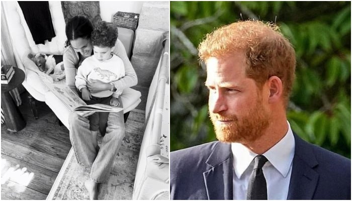 Prince Harry turning into a master tactician for Archie, Lilibet and Meghan