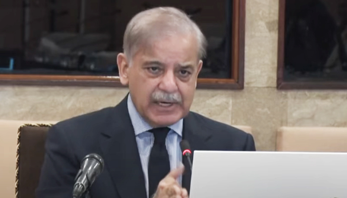 Prime Minister Shehbaz Sharif speaks during a cabinet meeting in Islamabad on August 2, 2024. — Screengrab via YouTube/Geo News