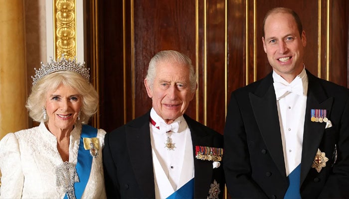 Queen Camilla keeps King Charles, Prince William from bumping heads