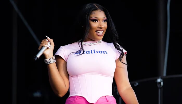 Megan Thee Stallion receives surprise at 2024 Lollapalooza show