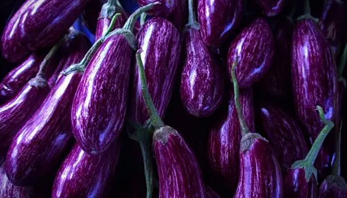 Iowa farmer grows a record-breaking eggplant. -Unsplash