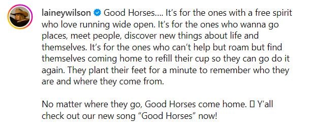 Lainey Wilson expresses free spirit concept behind song Good Horses