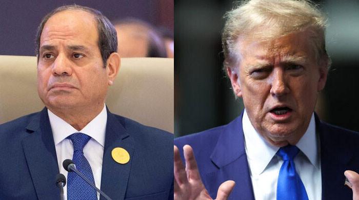 Egypt’s Sisi sought to aid Trump in 2016 election: report Dtrends