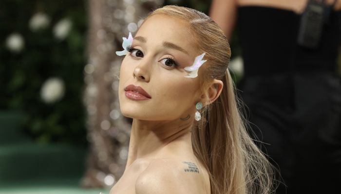 Ariana Grande shares witty reply to fans Eternal Sunshine criticism