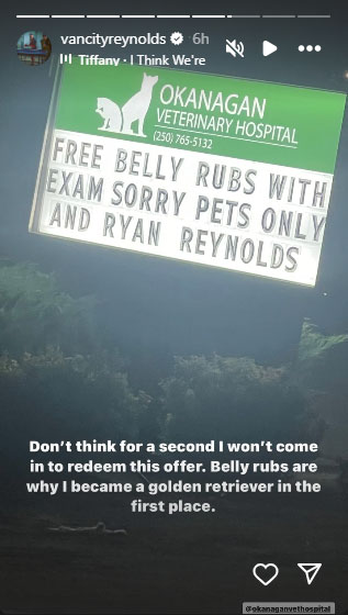 Ryan Reynolds hilariously responds to ‘free belly rubs offer