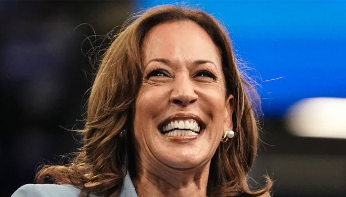 Vice President and Democratic presidential candiate Kamala Harris smiling at a crowd gathered at an event. — AFP/File