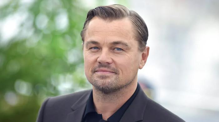 Leonardo DiCaprio suffers jellyfish sting during dreamy Mediterranean trip