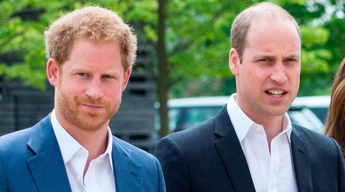 Prince William ‘shaking head' as Harry gets all ‘without lifting finger'