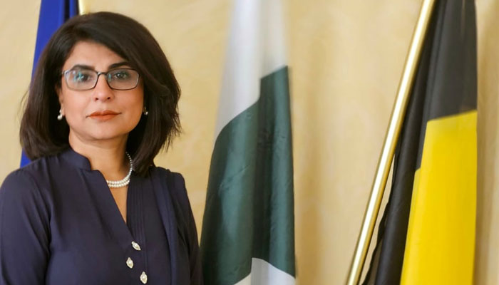 Ambassador Amna Baloch. — Minister of Foreign Affairs/Website/File