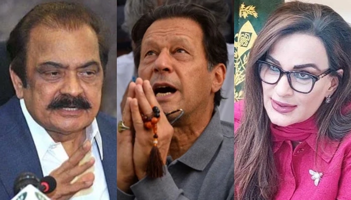 (From left to right) PML-N leader and PMs Adviser Rana Sanaullah, PTI founder Imran Khan and PPP Senator Sherry Rehman. — APP/AFP/X/@ClimateChangePK/File