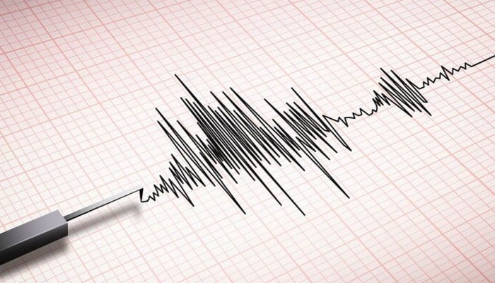 A representational image showing an illustration of a seismograph. — AFP/File