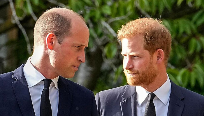 Prince Harry unknowingly upsets Prince William amid years-long feud