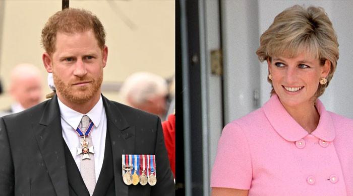 Prince Harry final call with Diana leaves lifetime of â€ ̃regret'