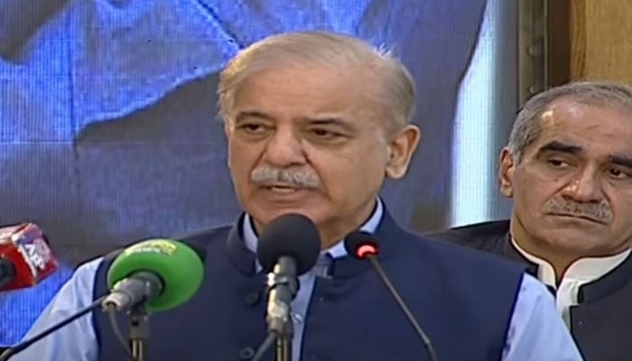 Prime Minister Shehbaz Sharif addressing the Minorities Day in Lahore on August 11, 2024. — Geo News/Screengrab