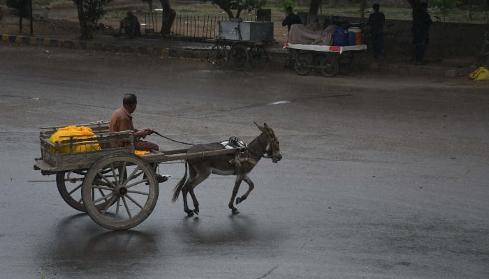 A man is riding a donkey cart on a road during drizzly morning in Karachi on August 8, 2024. —Online