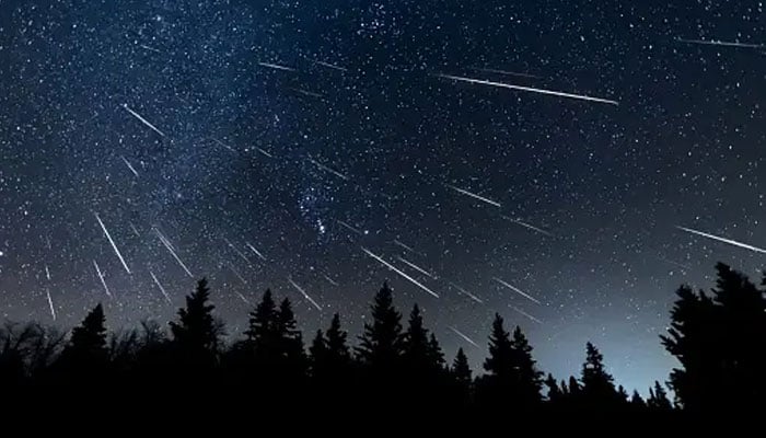 A representational image shows Perseids meteor shower in the night sky. — Unsplash