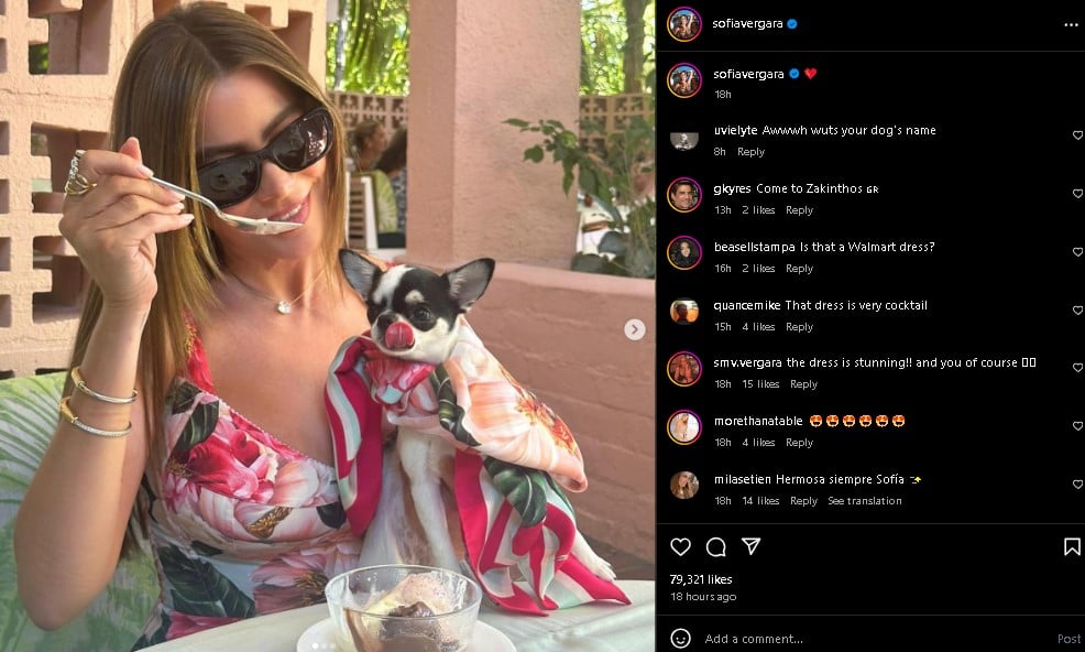 Sofia Vergara treats her dog to a spoonful of expensive ice cream