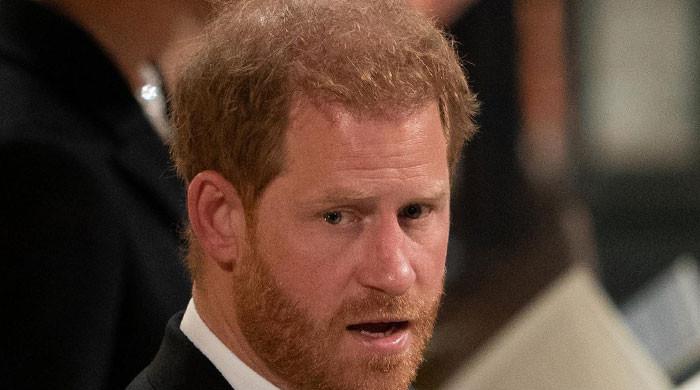 Prince Harry loyalties come under question as suspicions mount